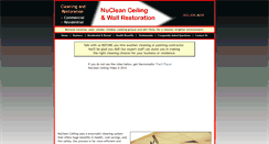 Desktop Screenshot of nucleanceiling.com